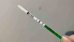 柬埔寨第三代试管婴儿的医院真的可以包成功吗？可信度高吗？