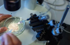 2026年江苏省南京市三代试管婴儿费用一览表,收费标准全公开