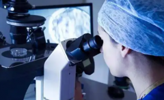 2026年单身人士在甘美医院做试管价格要多少？附详细费用明细