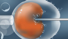 2026年单身女性去安阳妇幼做试管生孩子贵吗？完整费用可参考