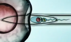 浙江省主要公立医院试管助孕费用对比