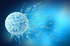 郑州试管医院未婚女性试管婴儿成功率怎么样？