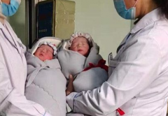 河南助孕机构收费价格全曝光(含漯河助孕中心TOP10排名榜)