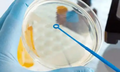 单身群体能不能在潍坊附属医院做试管？2026费用及成功率详解