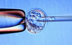 2026安徽省合肥市三代试管婴儿包成功真相：流程与注意事项深度解读