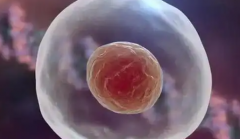 高成功率陷阱？辽宁沈阳试管包成套餐避坑指南