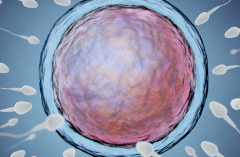 2026年菏泽中医院单身女性做试管婴儿费用明细表已公开