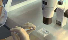 2026广东正规助孕公司榜单出炉，佛山市助孕指定服务医院