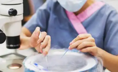 柬埔寨私立医院试管包成功是真的吗？业内人士透露真相