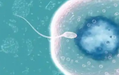 2026年武汉市第三代试管婴儿花费大起底，详细价格表曝光