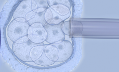 江苏省宿迁市助孕生子机构名单参考，2026年助孕流程详细步骤说明