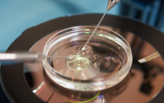 2026年南宁市三代试管助孕费用表：备足这个金额成功率高