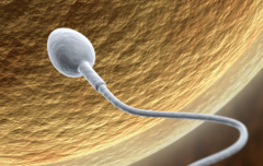 甘肃省三代试管婴儿助孕费用明细表汇总，附各项目费用明细表