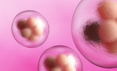 广州市三代试管婴儿费用大概要多少？全面了解试管婴儿花费明细+预算