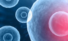 2026泰国做三代试管助孕费用需要多少？完整费用清单，帮你提前了解