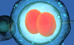 大连儿童医院试管婴儿费用大约多少？附单身试管助孕价格表