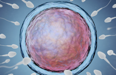 山东省单身女性在威海市妇幼保健院做试管婴儿成功率有多高？