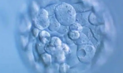 2026安徽三代试管婴儿生孩子费用出炉，附费用明细与成功率