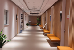 浙江助孕机构推荐2026/杭州市助孕公司排行榜