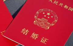 2026年没有结婚证能做试管婴儿吗？聊城市第二人民医院支不支持？