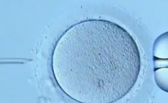 南京做试管助孕包成功可信吗？2026年价格与成功率权威对比