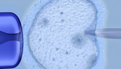 深度解读沈阳试管私立医院包成功套餐：是保障还是营销话术？