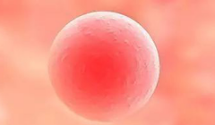 2026杭州市做三代试管婴儿助孕费用明细公开：具体花费明细一览