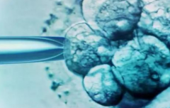 杭州市三代试管助孕费用明细一览，为你提供实用费用参考