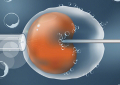 2026年未婚人士可以在中山大学附属第五医院做试管婴儿吗？