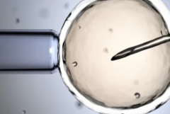 2026西安第三代试管婴儿费用最新公布，附详细流程及医院名单