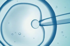 马来西亚私立医院试管婴儿包成功承诺可信吗？业内人士解析真相