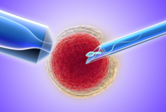 合肥市做三代试管婴儿费用明细，全面拆解前期检查/促排卵周期/胚胎移
