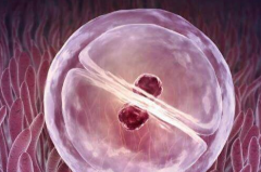 费用透明化：江西做第三代试管助孕各项目收费详情