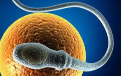 全国私立医院试管包成功可信度究竟如何？