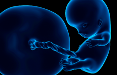 2026单身女性在聊城市人民医院试管婴儿需要多少钱？附上这份费用明细