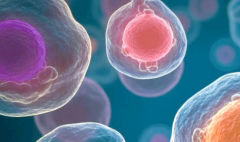 2026年在河南省郑州市做三代试管包成功可信吗？附医院推荐