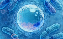 2026济南第三代试管婴儿花费全解析，帮你估算实际支出