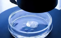 甘肃省三代试管助孕多少钱，附成功率及完整流程介绍