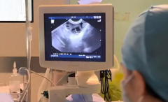 哈萨克斯坦第三代试管婴儿花销大公开：费用清单一目了然