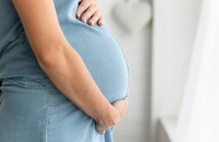 河南郑州市哪家做试管婴儿可以包怀上的？可信度高不高？