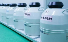 浙江第三方助孕公司权威排名发布 宁波排名靠前的助孕机构推荐