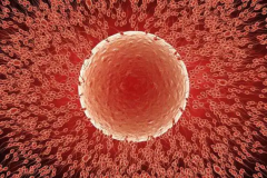 2026浙江杭州三代试管包成功最新政策：流程/费用及注意事项权威梳理