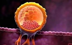 四川省成都市三代试管助孕花费公开透明，医疗及辅助开支都不便宜