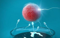 2026年湖北武汉三代试管婴儿助孕费用：10万到15万，详细价格公开