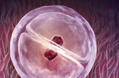 江西南昌第三代试管助孕费用完整盘点，一文读懂三代试管真实价格