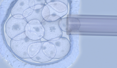 海口市妇幼保健院接受无结婚证试管婴儿申请吗？费用及成功率一览表