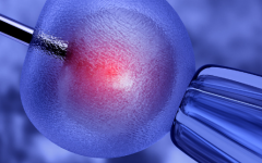 2026安徽省三代试管婴儿花费全公开：分步骤收费标准汇总