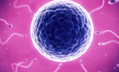 郑州试管助孕包成功套餐可信吗？郑州私立试管医院套餐是否靠谱？