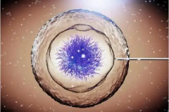 2026年吉林长春市三代试管包成功是骗局吗？附详细流程与必须注意的事