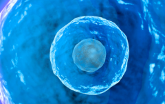 2026年在唐山妇幼可以为单身人士做试管吗？